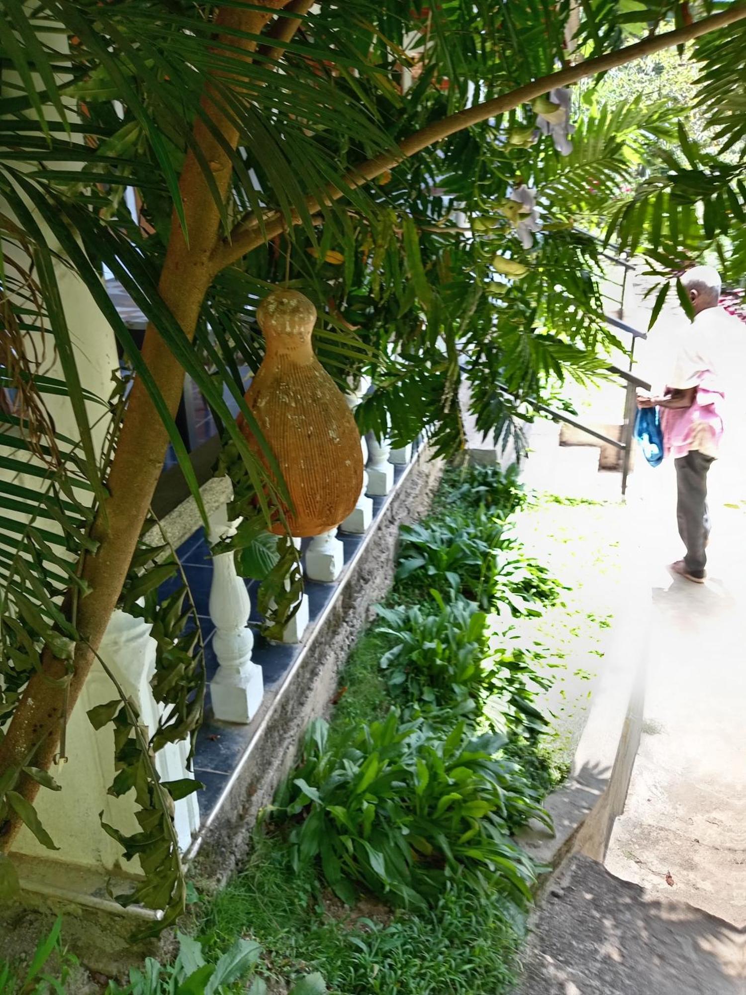 Soorya Inn Ella Exterior foto